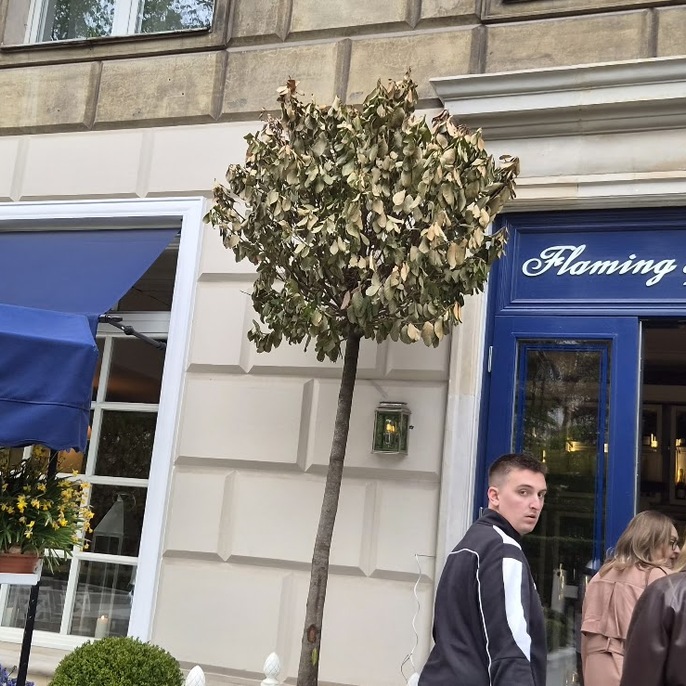 Flaming & Co Restaurant, photo 5