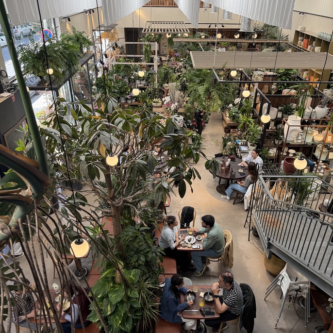 Cafetaria Terrárea, photo 4