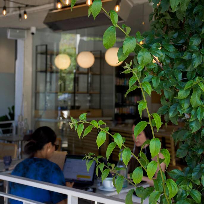 Dialog Cafe