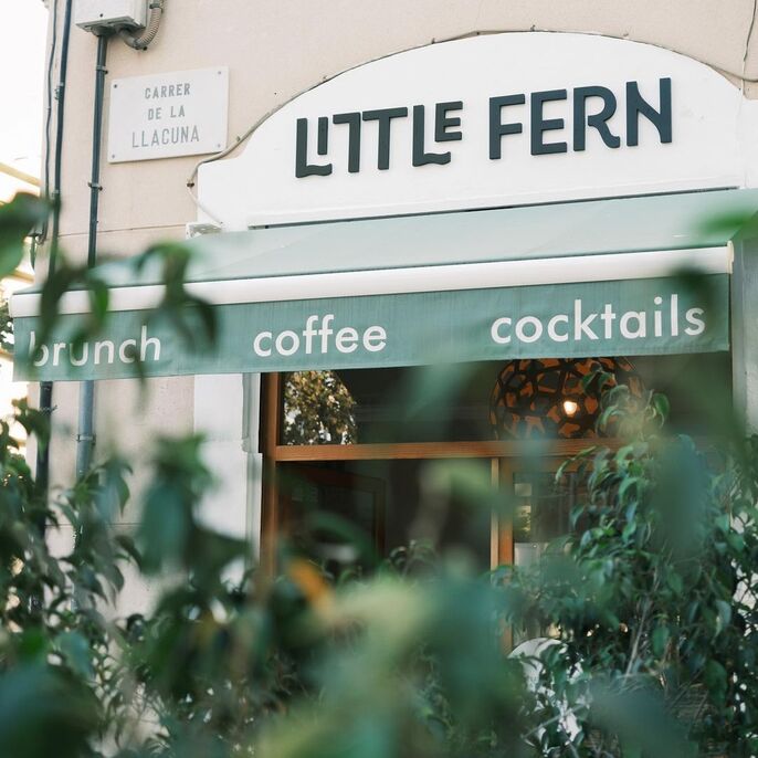LITTLE FERN, photo 2