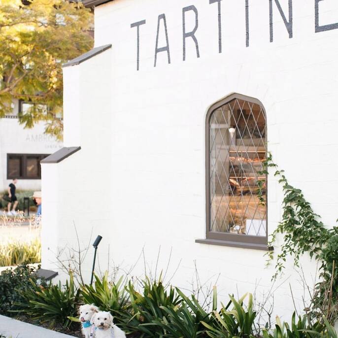 Tartine Santa Monica, photo 3